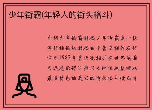 少年街霸(年轻人的街头格斗)