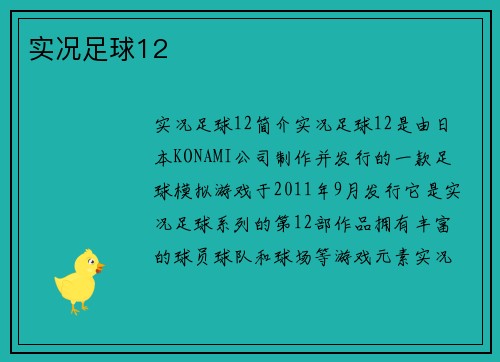 实况足球12